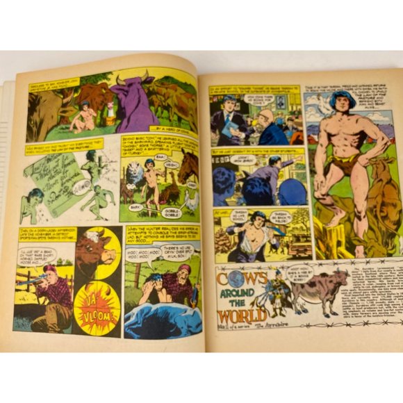 National Lampoon lot of three vintage softcover books, adult humor magazines - Picture 4 of 10